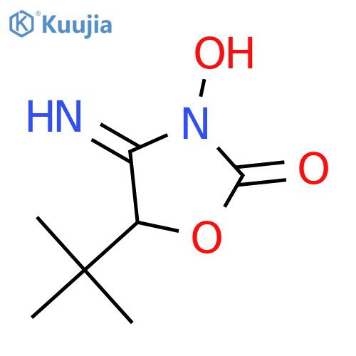 2-Oxazolidinone, 5-(1,1-dimethylethyl)-3-hydroxy-4-imino- structure