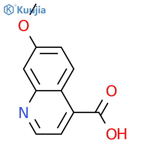 7-methoxyquinoline-4-carboxylic acid structure