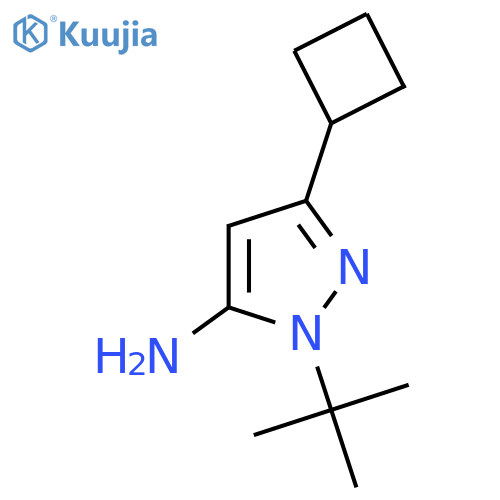 1-tert-Butyl-3-cyclobutyl-1H-pyrazol-5-amine structure