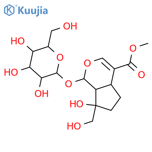 Splendoside structure
