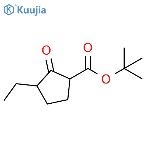 Cyclopentanecarboxylicacid, 3-ethyl-2-oxo-, 1,1-dimethylethyl ester structure