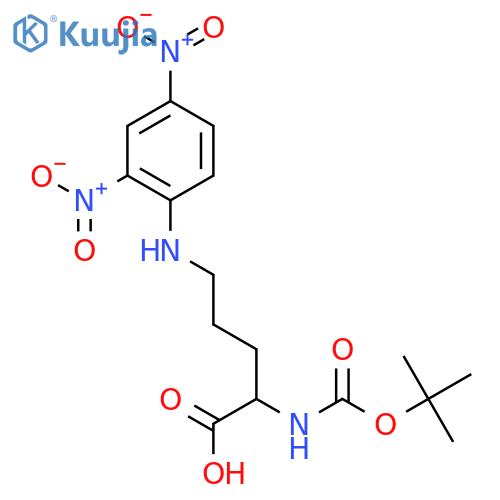 (S)-2-((tert-Butoxycarbonyl)amino)-5-((2,4-dinitrophenyl)amino)pentanoic acid structure