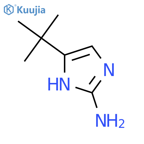4-tert-butyl-1H-imidazol-2-amine structure