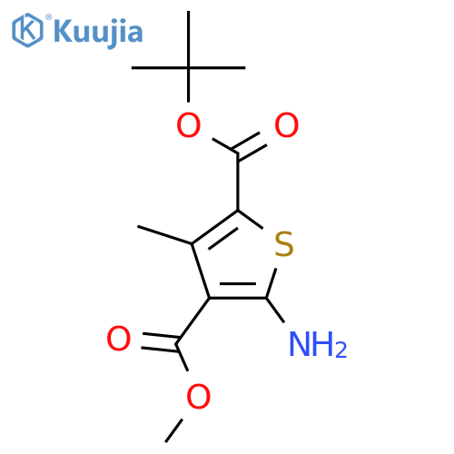 2-tert-Butyl 4-Methyl 5-amino-3-methylthiophene-2,4-dicarboxylate structure