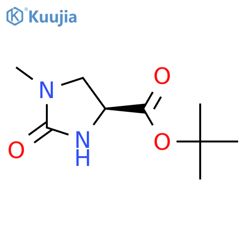 tert-butyl (4S)-1-methyl-2-oxoimidazolidine-4-carboxylate structure