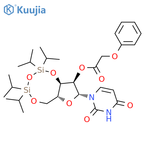 Uridine, 3',5'-O-[1,1,3,3-tetrakis(1-methylethyl)-1,3-disiloxanediyl]-,  2'-(phenoxyacetate) structure