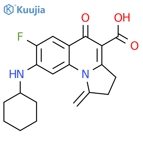 Pyrrolo[1,2-a]quinoline-4-carboxylic acid,8-(cyclohexylamino)-7-fluoro-1,2,3,5-tetrahydro-1-methylene-5-oxo- structure