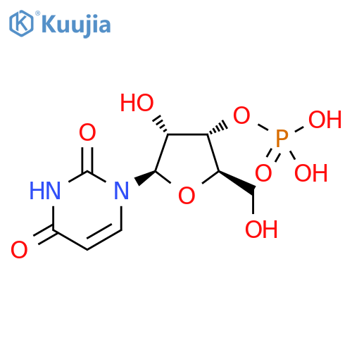 3'-Uridylic acid structure