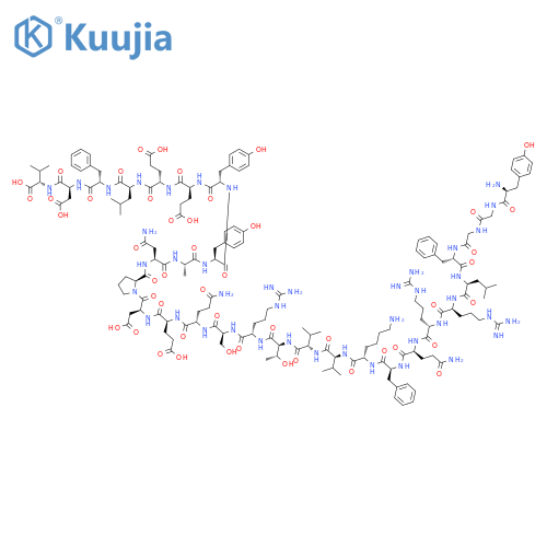 Dynorphin B (1-29) structure