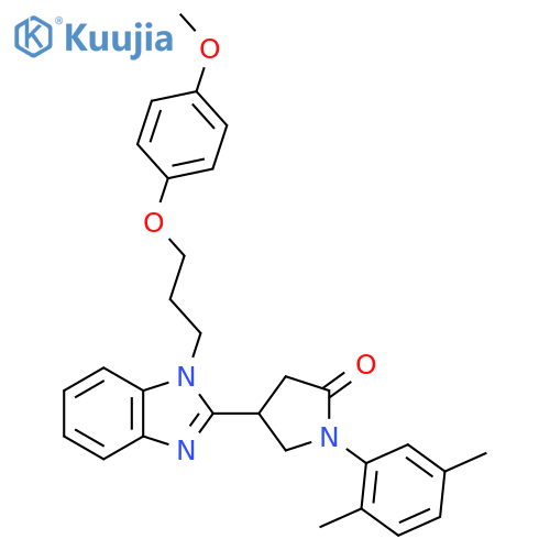 1-(2,5-dimethylphenyl)-4-{1-3-(4-methoxyphenoxy)propyl-1H-1,3-benzodiazol-2-yl}pyrrolidin-2-one structure