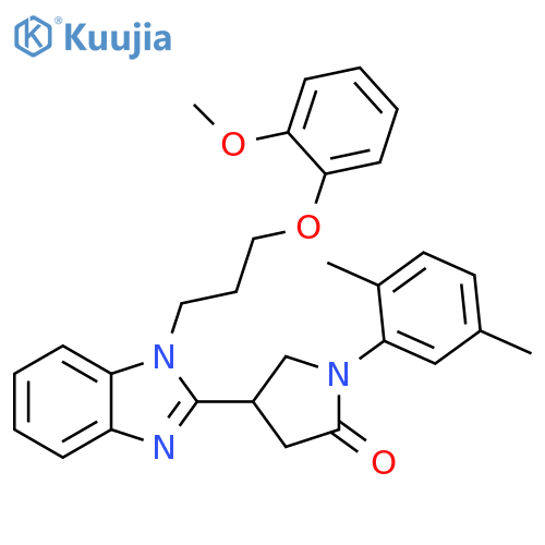 1-(2,5-dimethylphenyl)-4-{1-3-(2-methoxyphenoxy)propyl-1H-1,3-benzodiazol-2-yl}pyrrolidin-2-one structure