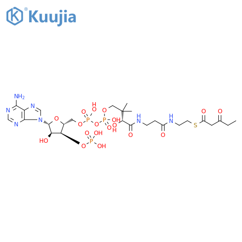 Coenzyme A, S-(3-oxopentanoate) structure