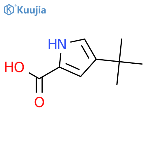 4-tert-butyl-1H-pyrrole-2-carboxylic acid structure