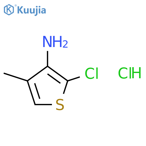 2-chloro-4-methylthiophen-3-amine hydrochloride structure