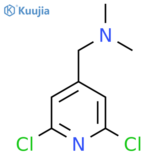 1-(2,6-Dichloropyridin-4-yl)-N,N-dimethylmethanamine structure