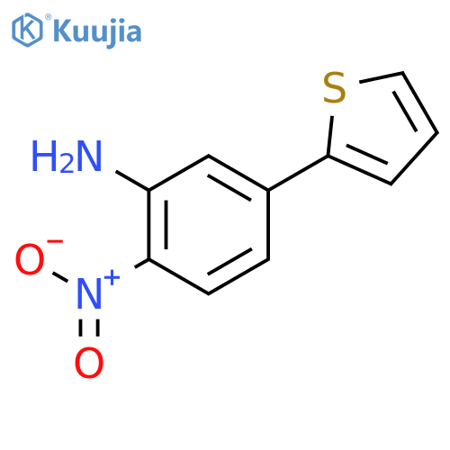 Benzenamine, 2-nitro-5-(2-thienyl)- structure