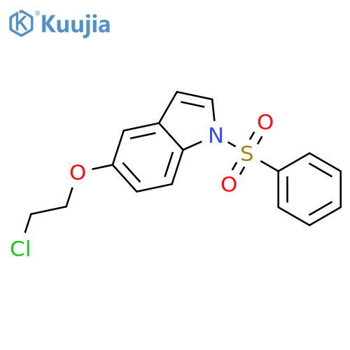 1H-INDOLE, 5-(2-CHLOROETHOXY)-1-(PHENYLSULFONYL)- structure