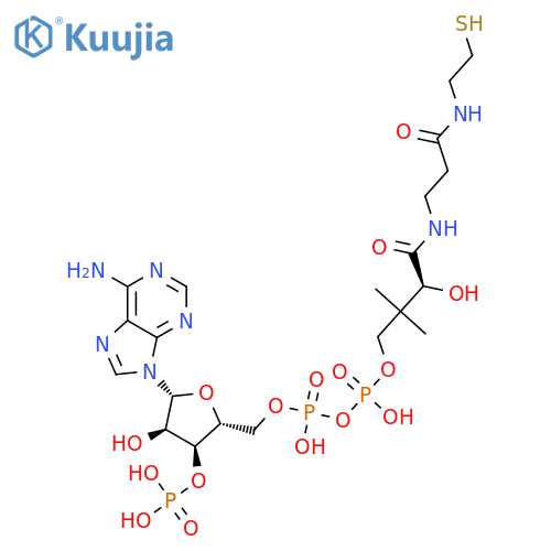 Coenzyme A structure