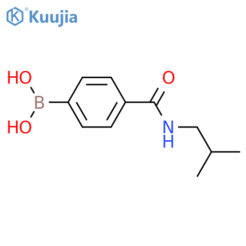 4-(Isobutylaminocarbonyl)phenylboronic acid structure