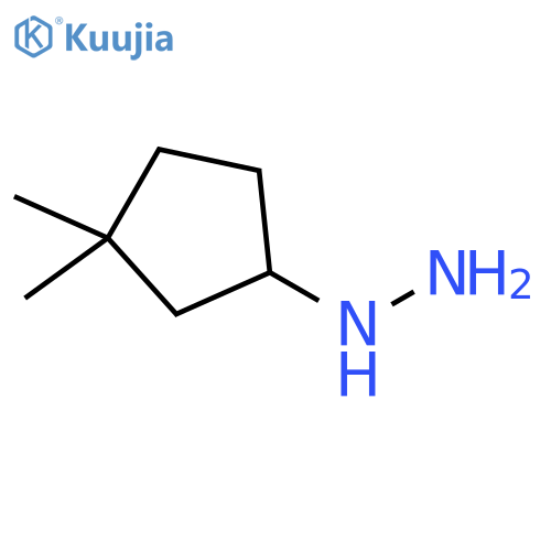 (3,3-dimethylcyclopentyl)hydrazine structure
