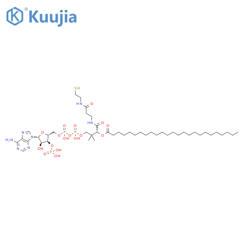 25:0 Coenzyme A structure