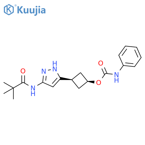 Propanamide,2,2-dimethyl-N-[5-[cis-3-[[(phenylamino)carbonyl]oxy]cyclobutyl]-1H-pyrazol-3-yl]- structure