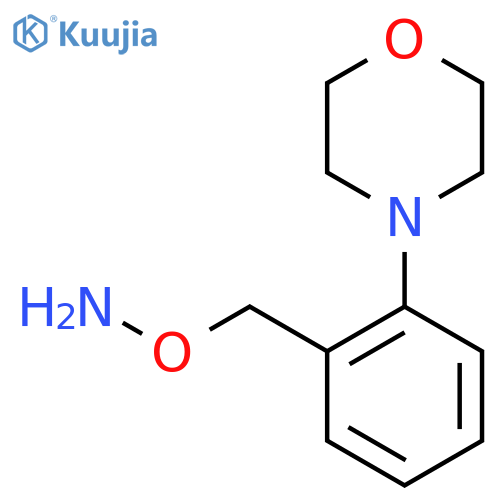 O-{2-(morpholin-4-yl)phenylmethyl}hydroxylamine structure