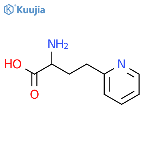 2-amino-4-(pyridin-2-yl)butanoic acid structure