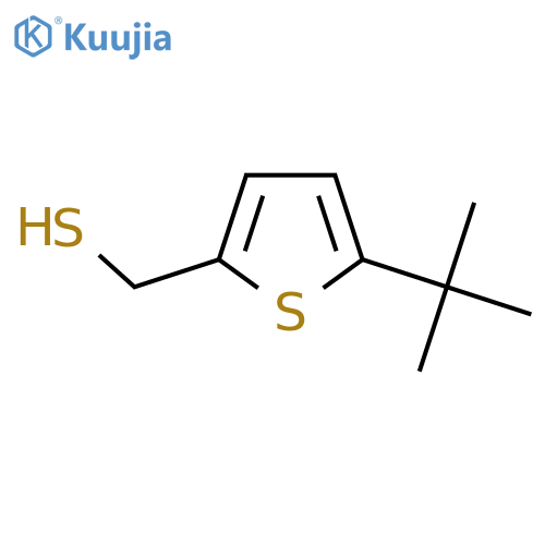 (5-tert-butylthiophen-2-yl)methanethiol structure