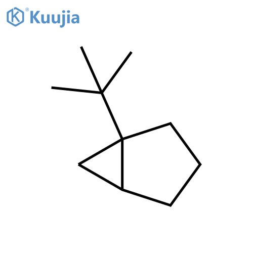 Bicyclo[3.1.0]hexane, 1-(1,1-dimethylethyl)- structure