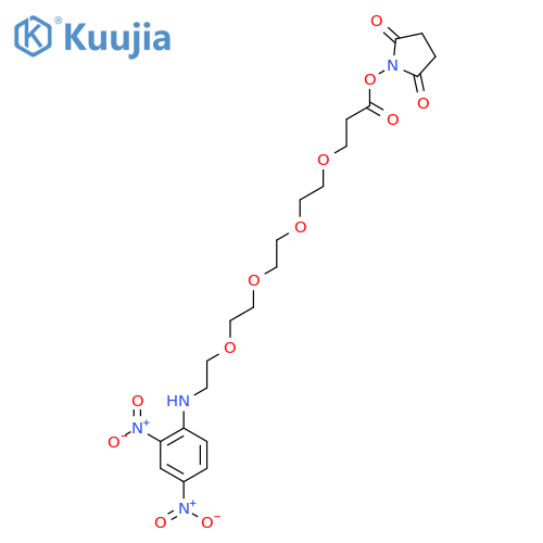 DNP-PEG4-NHS ester structure