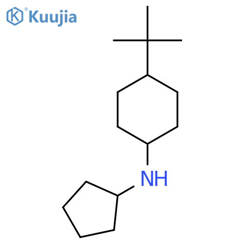 4-tert-butyl-N-cyclopentylcyclohexan-1-amine structure