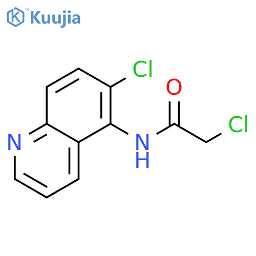 2-Chloro-N-(6-chloroquinolin-5-yl)acetamide structure