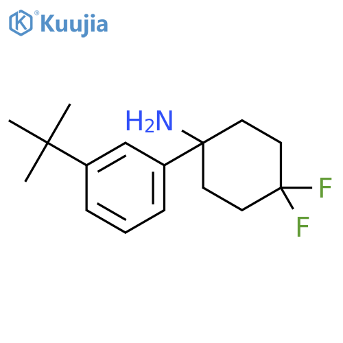 1-(3-tert-butylphenyl)-4,4-difluorocyclohexan-1-amine structure