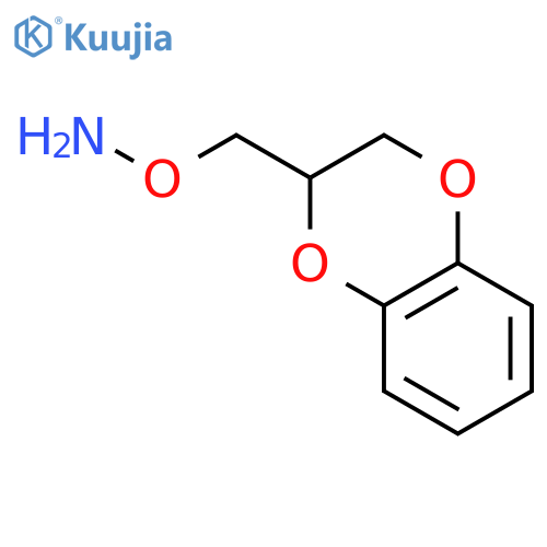 O-(2,3-dihydro-1,4-benzodioxin-2-yl)methylhydroxylamine structure