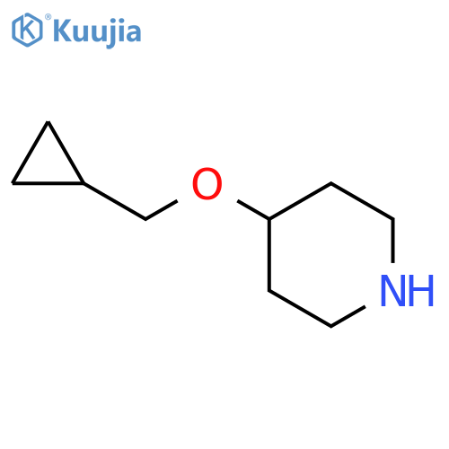 4-(Cyclopropylmethoxy)piperidine structure