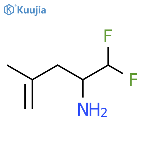 1,1-difluoro-4-methylpent-4-en-2-amine structure