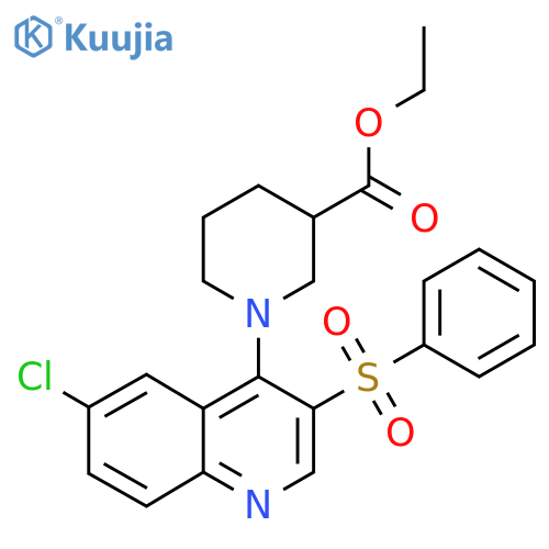 ethyl 1-3-(benzenesulfonyl)-6-chloroquinolin-4-ylpiperidine-3-carboxylate structure