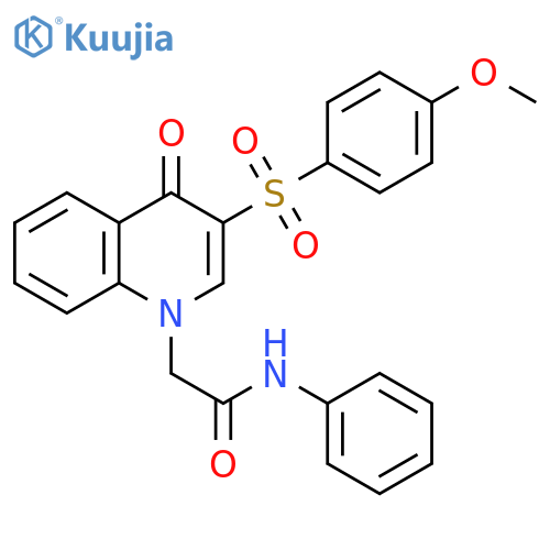 2-3-(4-methoxybenzenesulfonyl)-4-oxo-1,4-dihydroquinolin-1-yl-N-phenylacetamide structure