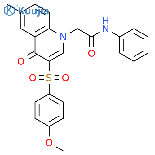 2-3-(4-methoxybenzenesulfonyl)-6-methyl-4-oxo-1,4-dihydroquinolin-1-yl-N-phenylacetamide structure