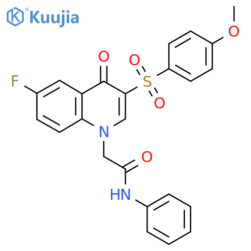 2-6-fluoro-3-(4-methoxybenzenesulfonyl)-4-oxo-1,4-dihydroquinolin-1-yl-N-phenylacetamide structure