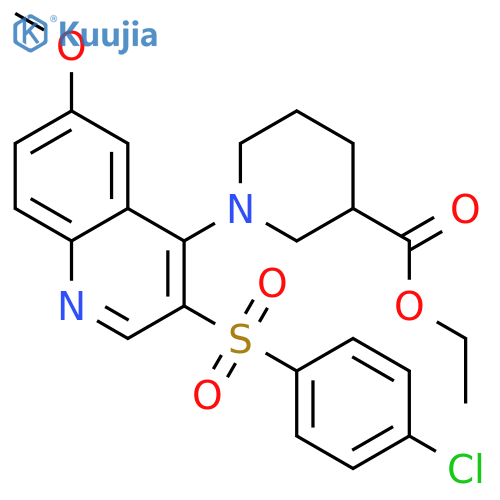ethyl 1-3-(4-chlorobenzenesulfonyl)-6-methoxyquinolin-4-ylpiperidine-3-carboxylate structure