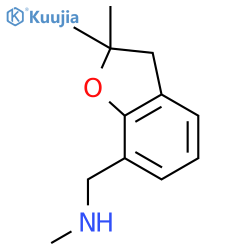 N-(2,2-dimethyl-2,3-dihydro-1-benzofuran-7-yl)methyl-N-methylamine structure