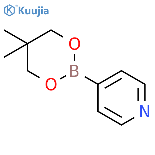 3-(5,5-dimethyl-1,3,2-dioxaborinan-2-yl)pyridine structure