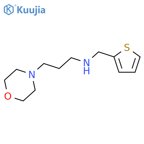 [3-(morpholin-4-yl)propyl][(thiophen-2-yl)methyl]amine structure