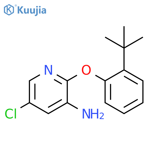 2-(2-TERT-BUTYLPHENOXY)-5-CHLOROPYRIDIN-3-AMINE structure