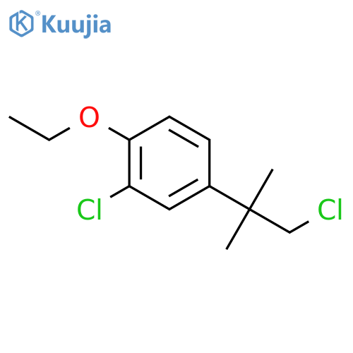 2-Chloro-4-(2-chloro-1,1-dimethylethyl)-1-ethoxybenzene structure