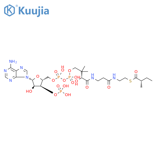 (S)-2-Methylbutyryl-CoA structure