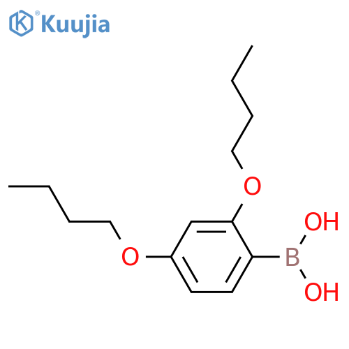 (2,4-Dibutoxyphenyl)boronic acid structure