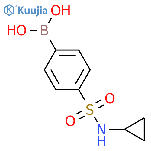 N-Cyclopropyl 4-boronobenzenesulfonamide structure